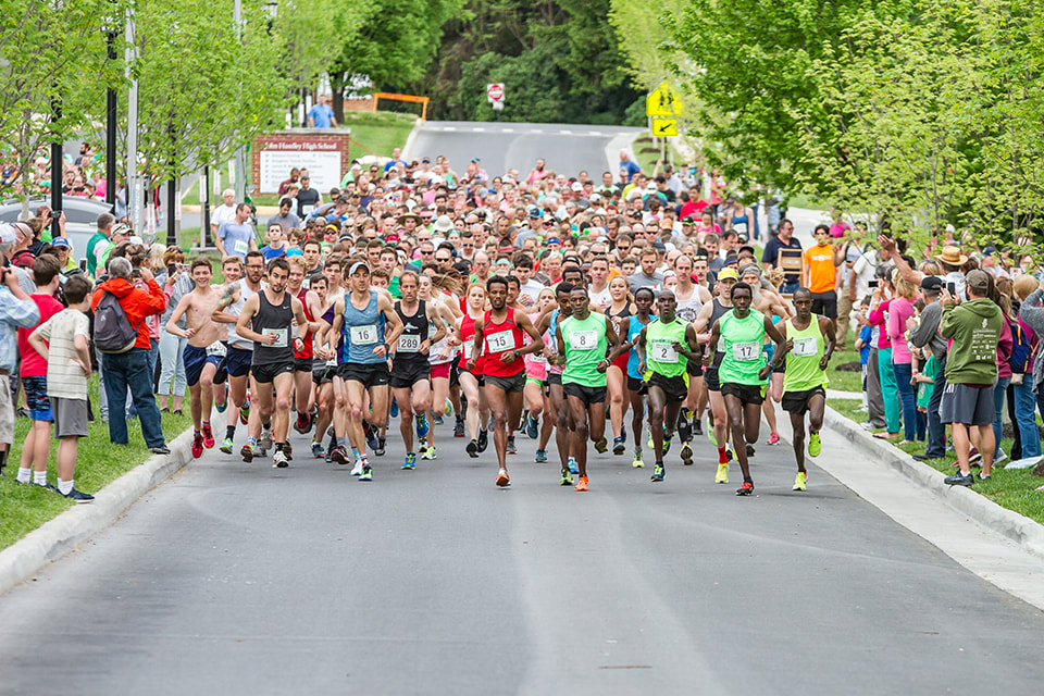 Shenandoah Apple Blossom 10K - Shenandoah Apple Blossom Festival