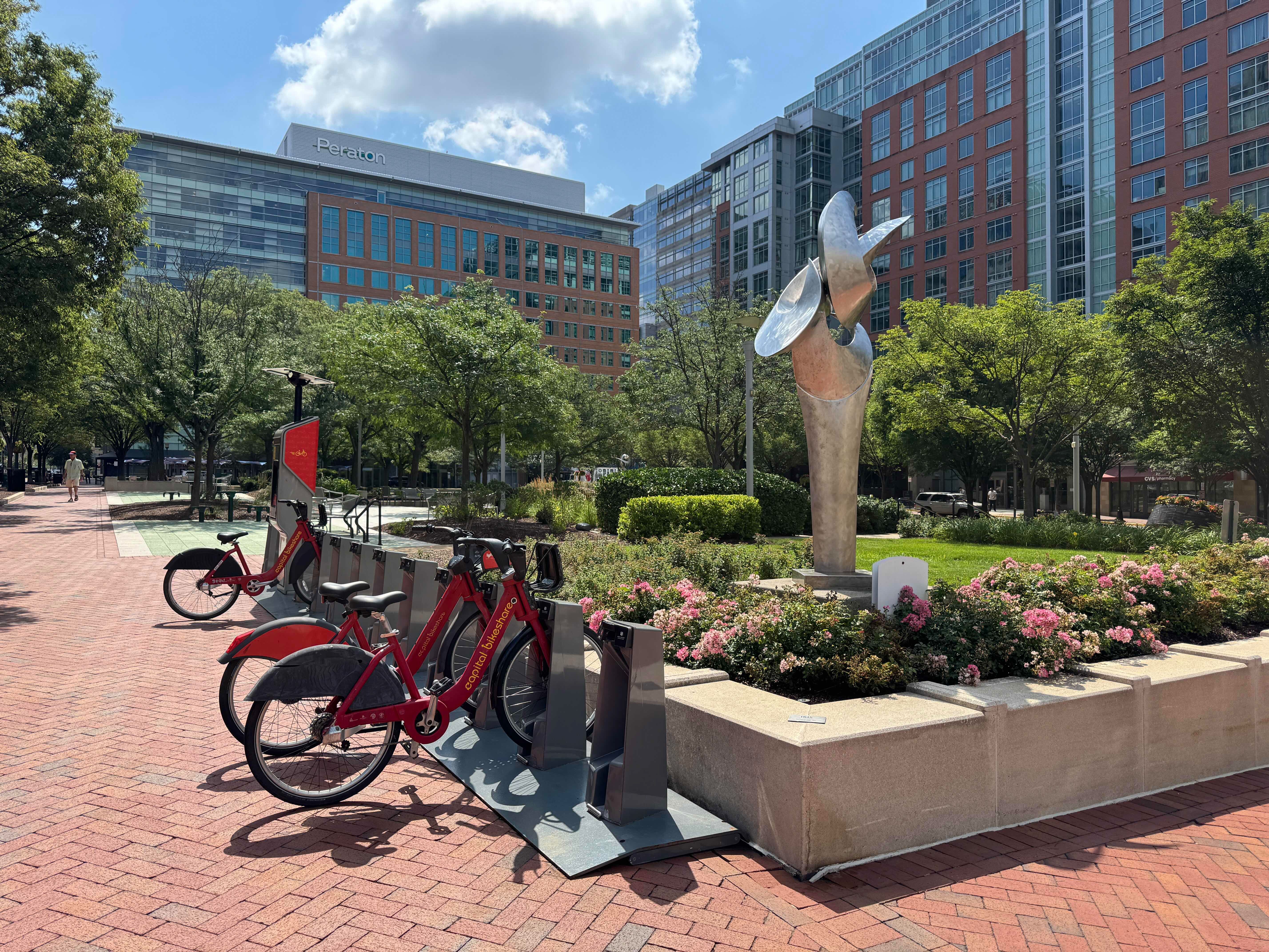 Red Capital Bikeshare bikes parked next to a contemporary public art sculpture and pink rose bushes in a park at Reston Town Center, with the Sheraton hotel visible in the background.