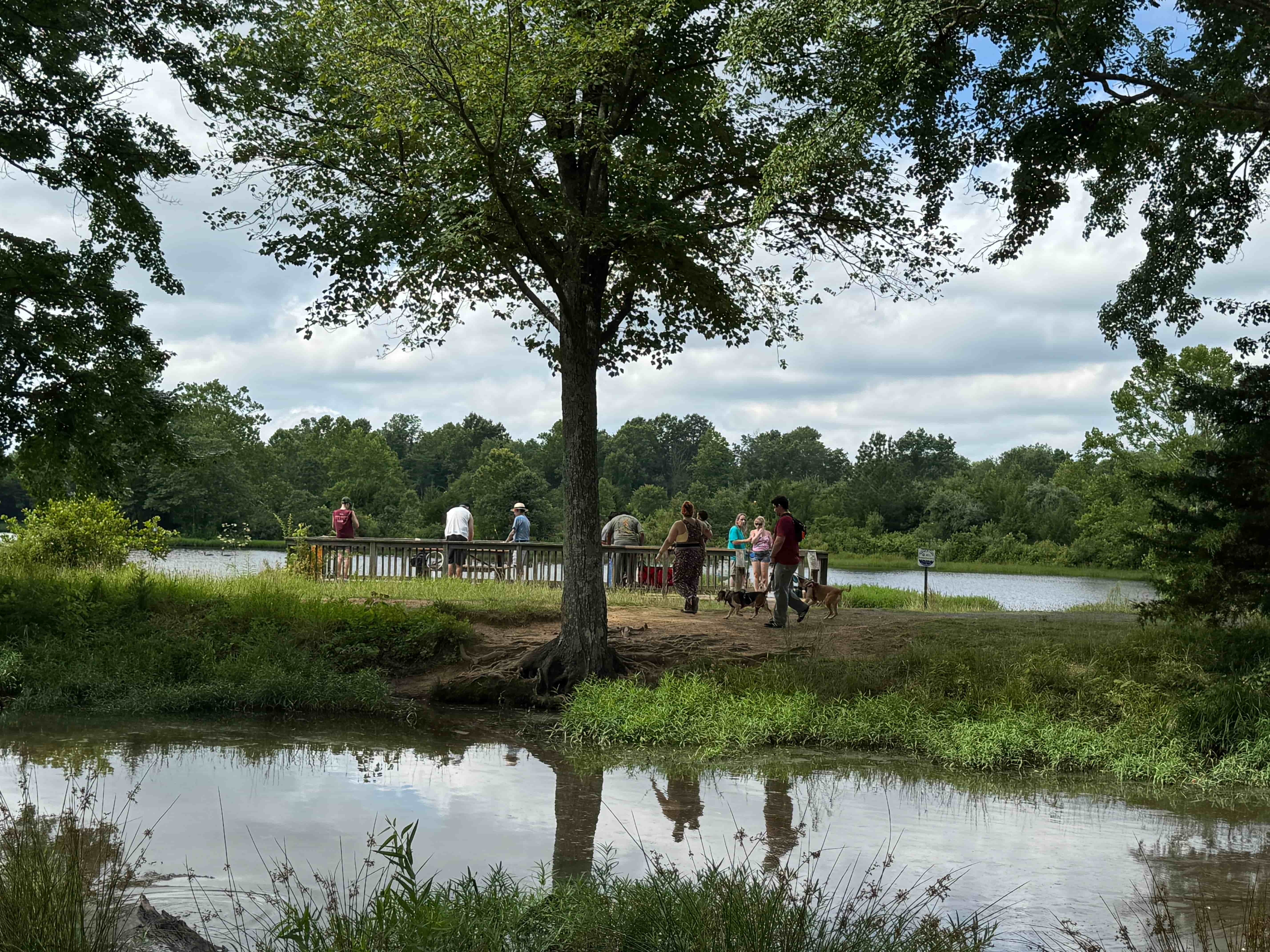 Families and leashed dogs enjoying the popular wooden fishing dock on a beautiful day at silver lake park in haymarket.