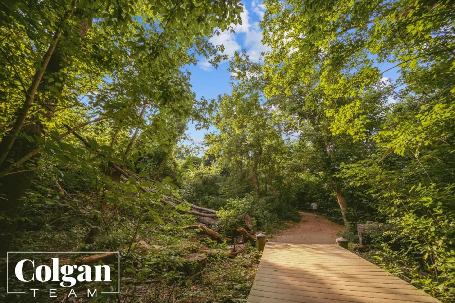 Theodore Roosevelt Island Walkway in Arlington, VA