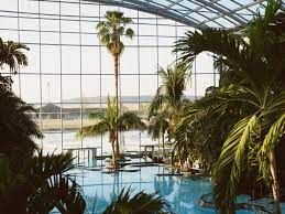 Indoor swimming pool area at a Therme resort with tall palm trees, looking out through large glass walls to an exterior view.